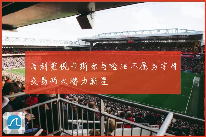 马刺重视卡斯尔与哈珀不愿为字母交易两大潜力新星