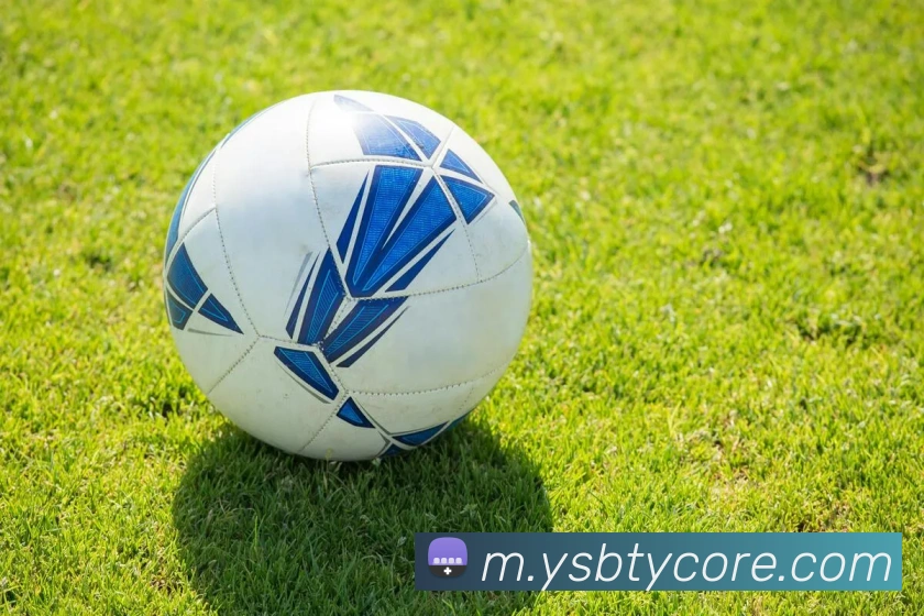 App Interface Preview